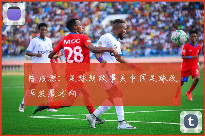 陈戌源：足球新政事关中国足球改革发展方向