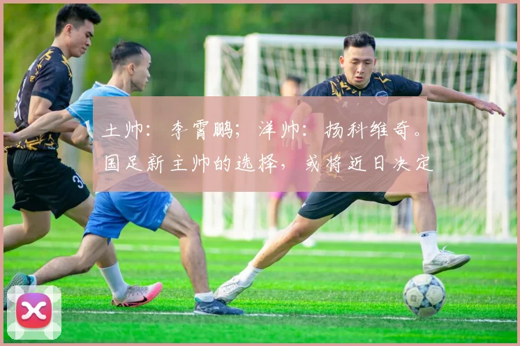 土帅：李霄鹏；洋帅：扬科维奇。国足新主帅的选择，或将近日决定