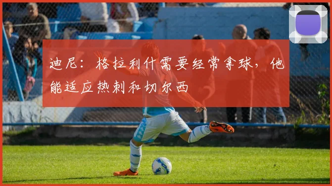 迪尼：格拉利什需要经常拿球，他能适应热刺和切尔西